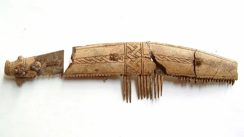 Обнаружена уникальная коллекция артефактов викингов